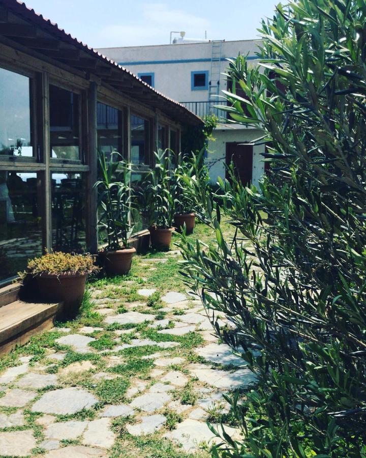 בוזקאדה Sukha Inn Hotel & Beach מראה חיצוני תמונה