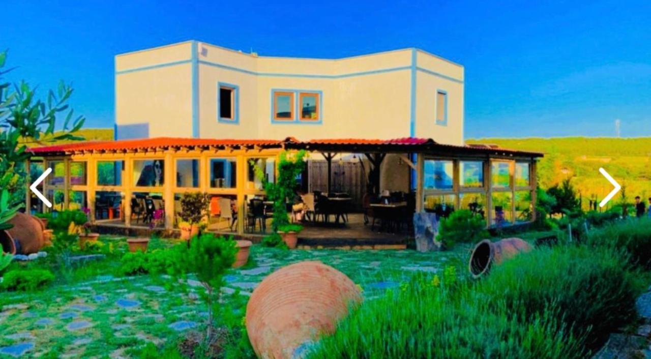 בוזקאדה Sukha Inn Hotel & Beach מראה חיצוני תמונה